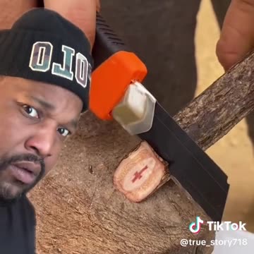 True Story - A Cross Inside Of A Tree