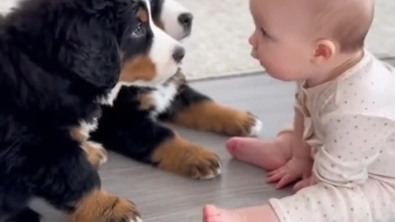 It seems like you've found your soulmate!🐶👶