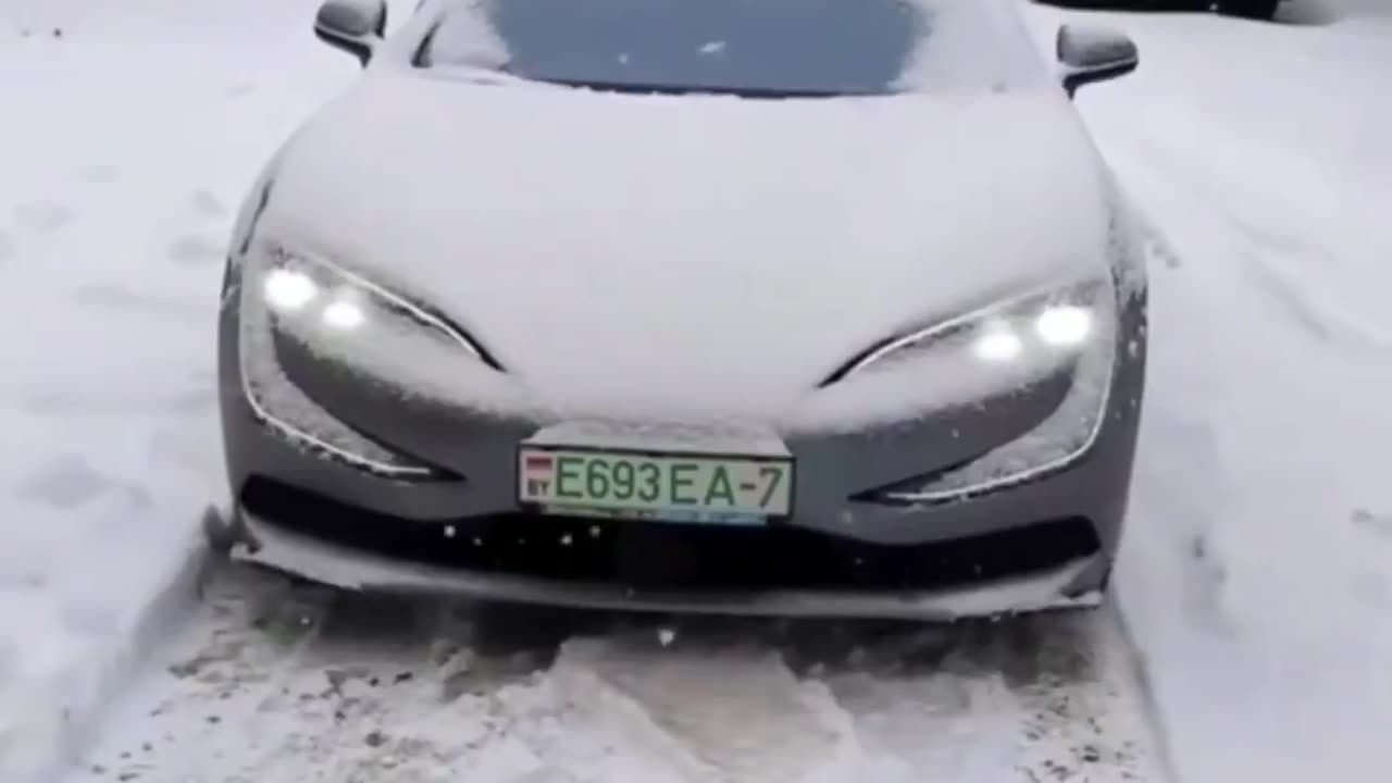 Have fun with Chinese EV's Canada