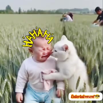 Funny🤣🤣 comedy🤣🤣 video😝😝