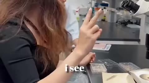 Re-growing Teeth