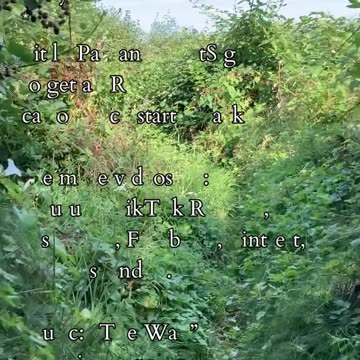 Claim Your World | Path and Tarot Reading