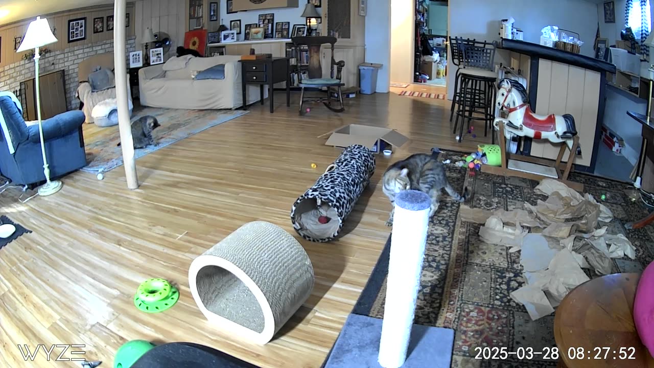 Frankie and Tootsie hijinks