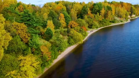 Soft Symphony Lofi Atmosphere