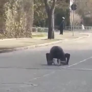 Fake African asylum seeker in Germany prays to Allah