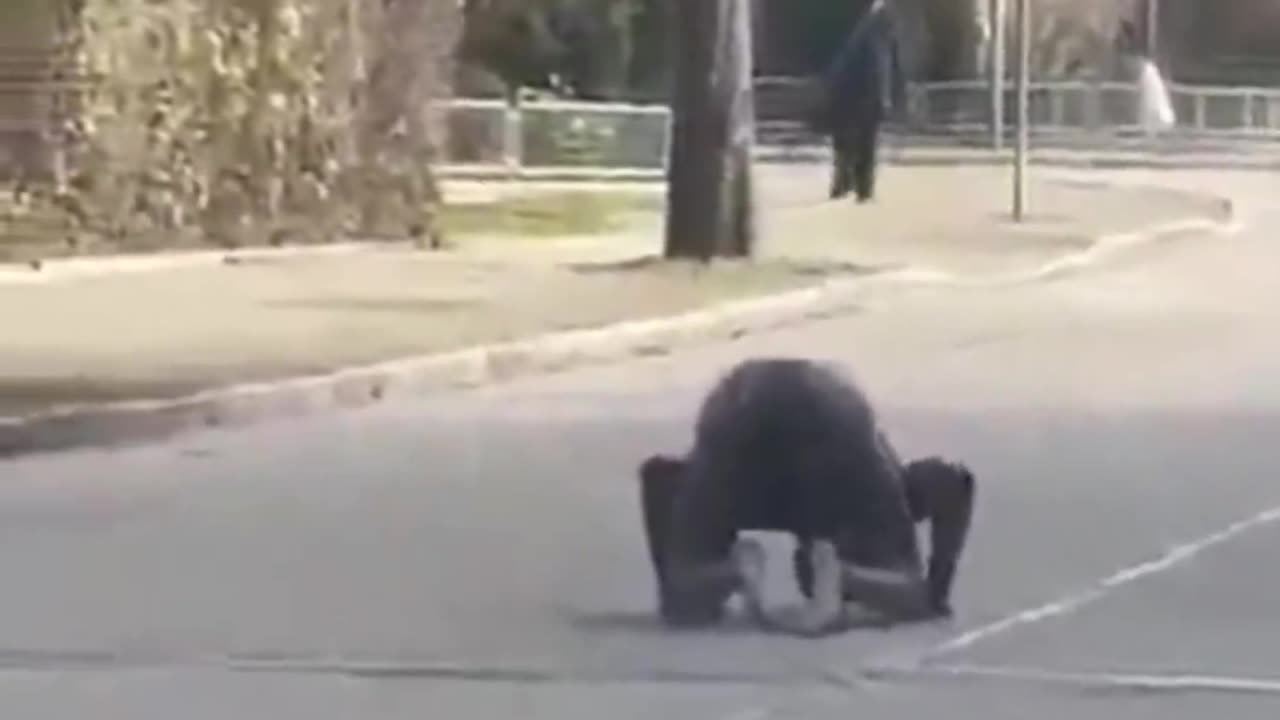 Fake African asylum seeker in Germany prays to Allah