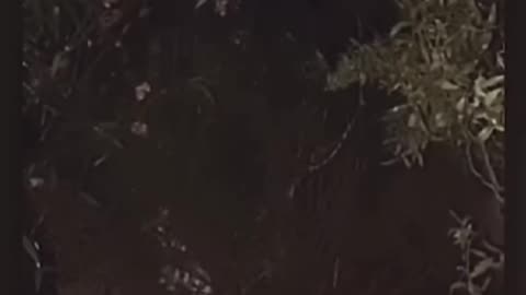 👻😱 Creepy Compilation: The Scariest Moments Caught on Camera! | TheHauntingHour