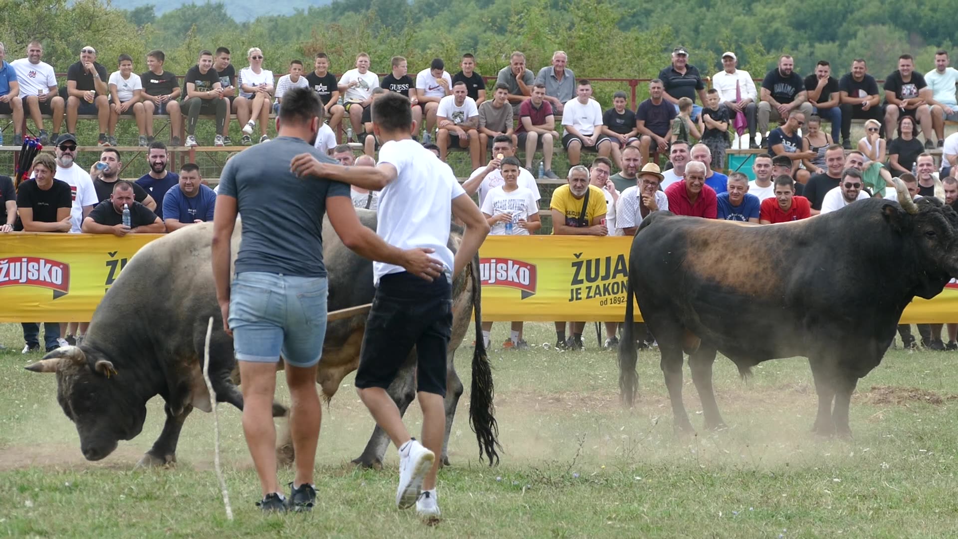 Zekonja od Madunića vs Kukan od Jozića Grude 2025