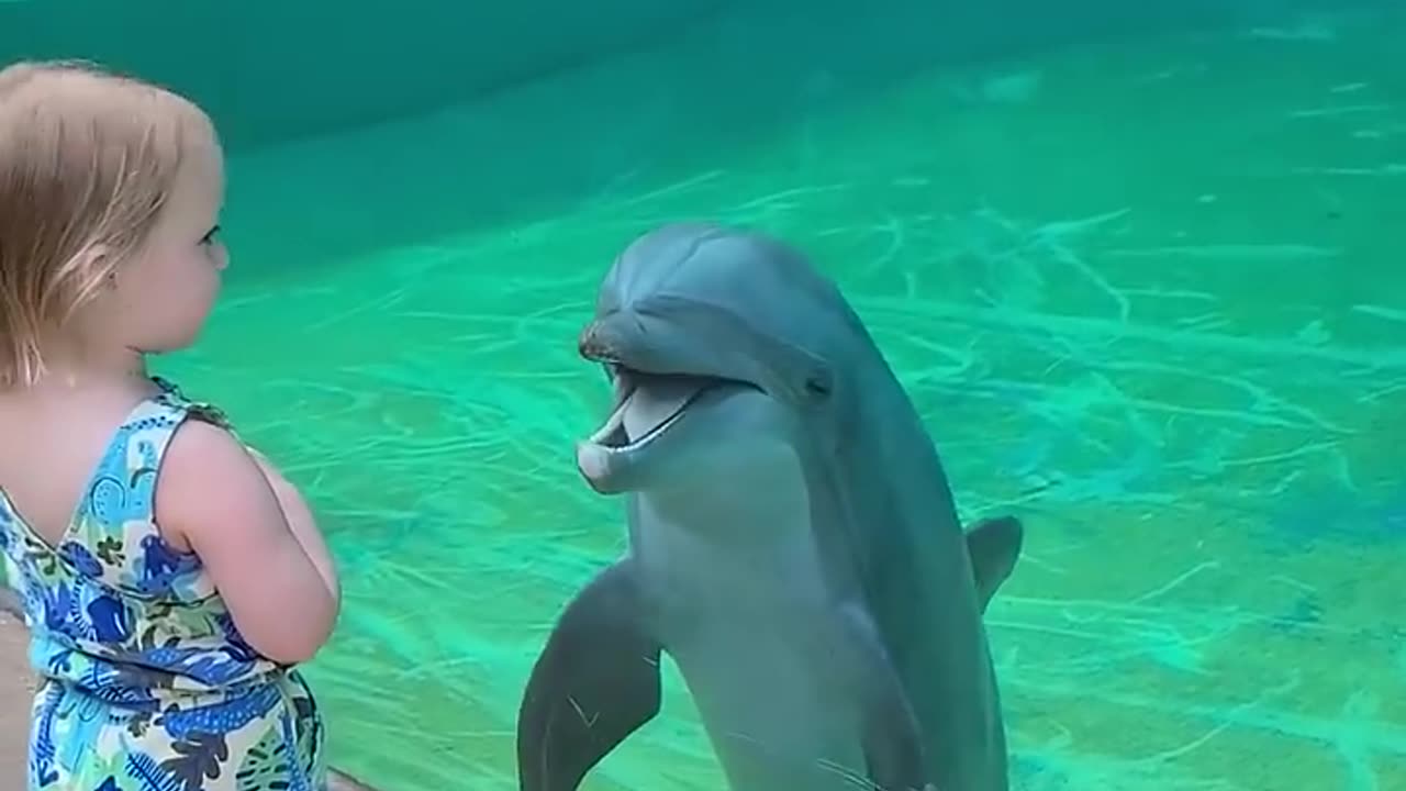 🐬Cute girl with dolphin