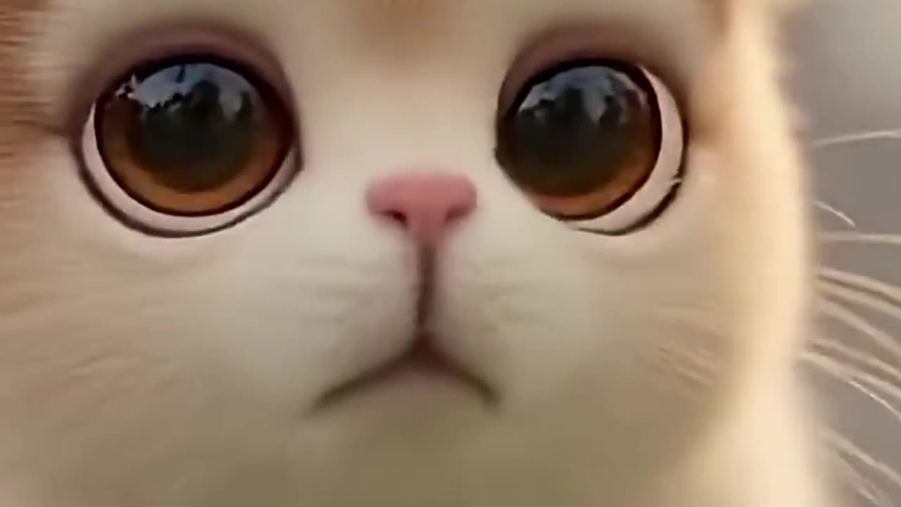 The Flufernib - World's Cutest Animal... With a catch #poop #funny #brainrot #documentary #sora