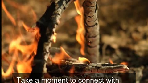 Daily Horoscope | Aries 🌟