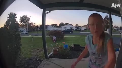 2025 Year in Review 😄 Best Funny Videos of the Year