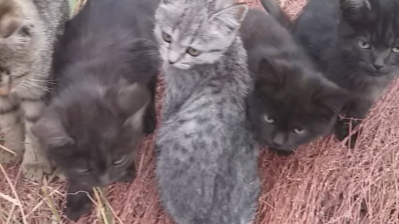 В ожидании чего-то!))