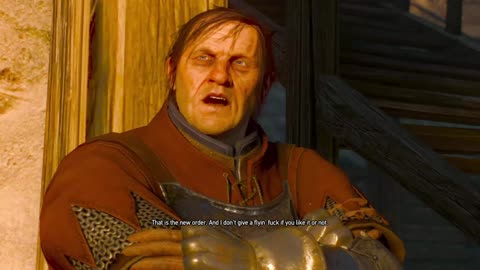 The Witcher 23