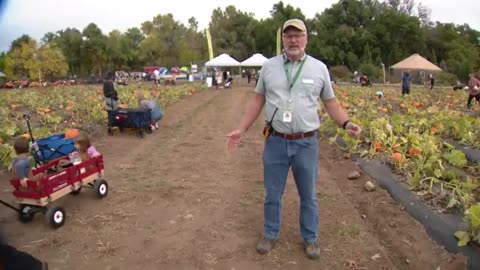 Good News at the pumpkin patch