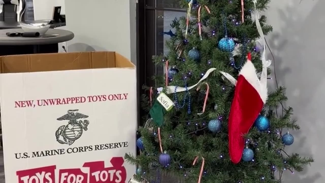 Toys for Tots in The Triangle