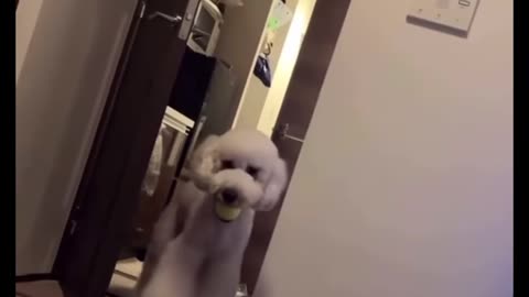 👻💔 Actually Unnerving | TheHauntingHour