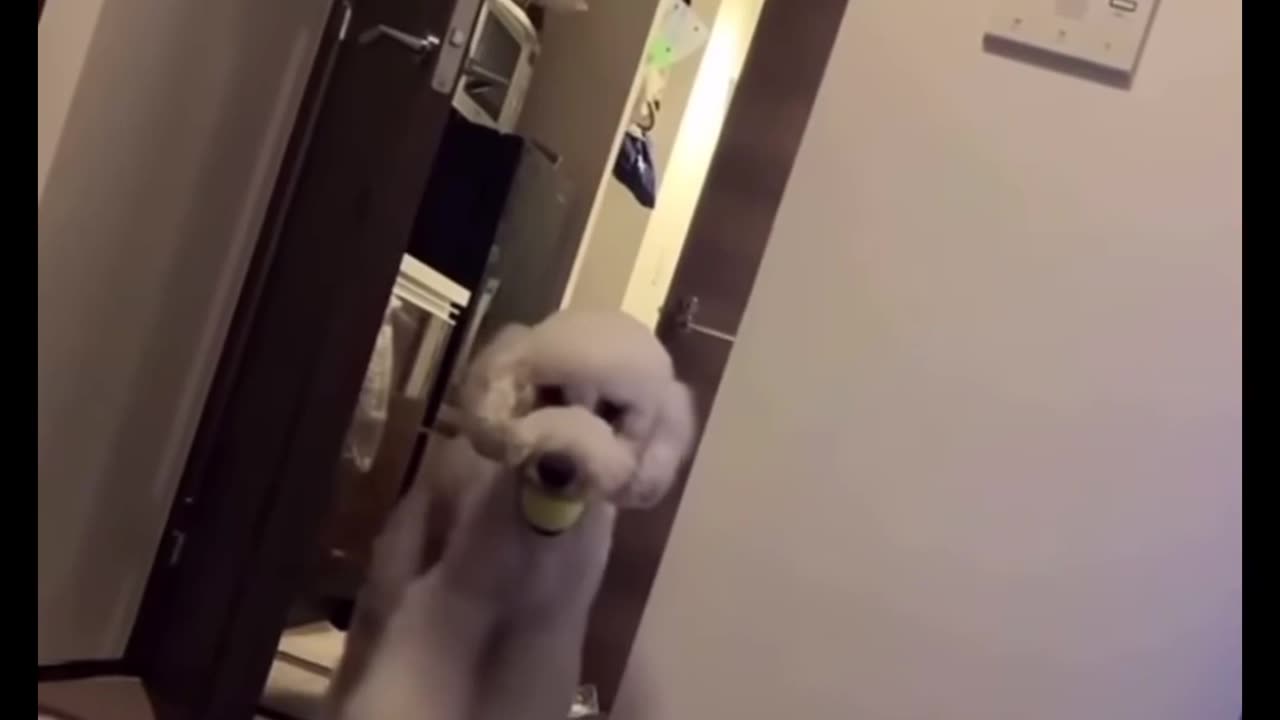 👻💔 Actually Unnerving | TheHauntingHour