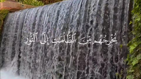 🔥 Surah Al-Baqarah 2:257 — سورة البقرة⚡✨#love #Quran #Viral #YouTubeShorts #trending #shorts #faith