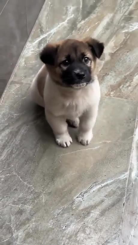 Can’t wait to go out for a walk