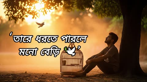 Khachar Bhitor Ochin Pakhi | খাঁচার ভিতর অচিন পাখি | Sabiha Dx | A Tribute to Lalon Shah