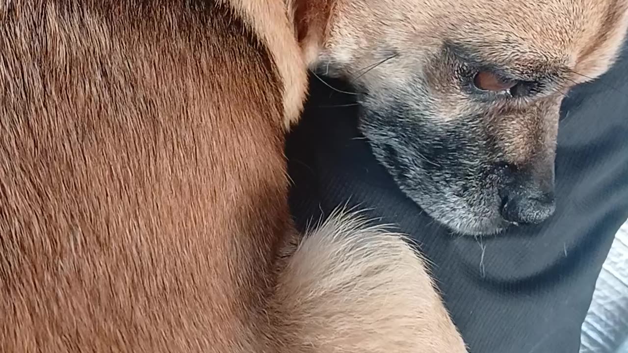 They wanted to stone jesus 4 saying I AM WHO I AM.