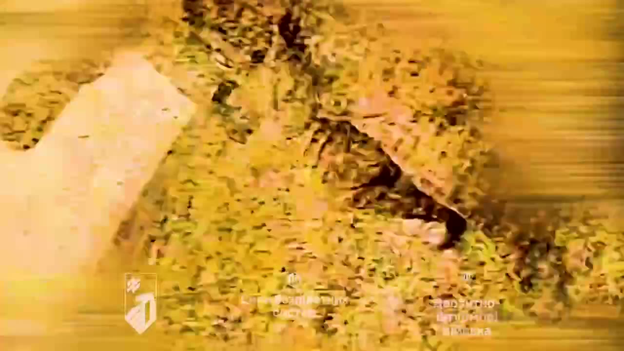 The video shows the joint work of FPV drone operators of the 1st Corps of the Azov Naval Group,