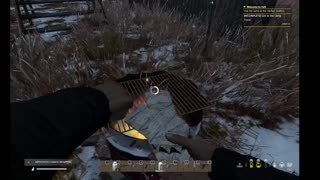 DayZ PVE