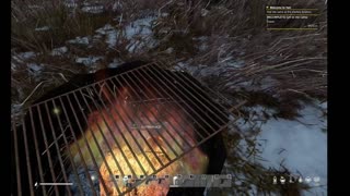 DayZ PVE