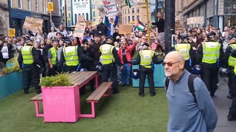 Police snatch a flag off a young girl in Newcastle at the UKIP rally 🇬🇧 