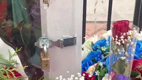 ¡La Virgen de Guadalupe NO salva a nuestro pueblo! ¡Es un ídolo falso y una mentira! #israel