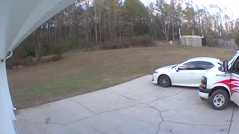 Delivery Hit and Run