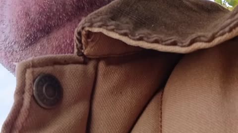 FOOD REVIEW: MCDONALD'S DOUBLE CHEESEBURGER