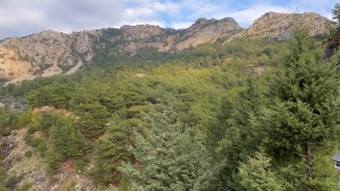 Daily Horoscope | Capricorn 🌟