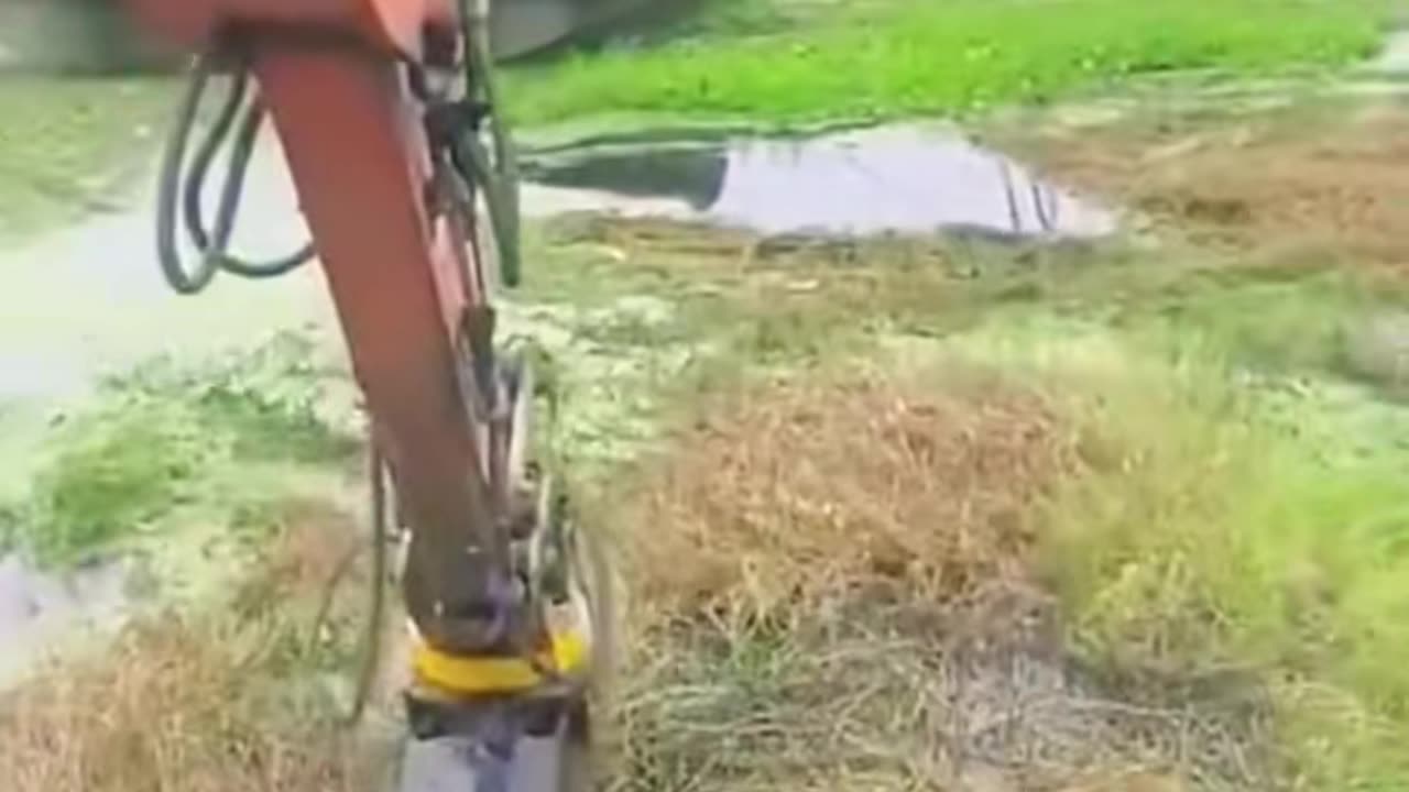 💡✨ Work Smart, Not Hard with This Quick Tip! | LifeHacksDaily