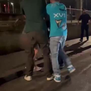 The usual suspects in Lyon beat up a defenseless French girl. Is diversity our