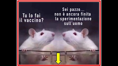 🐀​🐁​🐀​ CAVIE UMANE DI STATO PER ALMENO 15 ANNI 🐑​🐐​🐑​