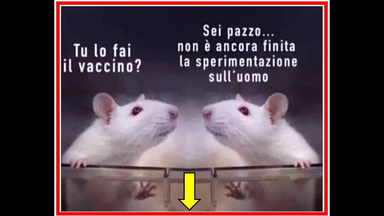 🐀🐁🐀 CAVIE UMANE DI STATO PER ALMENO 15 ANNI 🐑🐐🐑