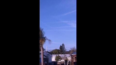 Floridas Chemtrails