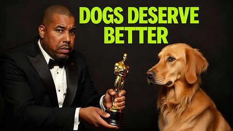 Good Boy: The Dog Was the STAR — Not the Humans