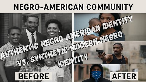 Authentic Negro American Identity vs. Synthetic Modern Negro Identity II