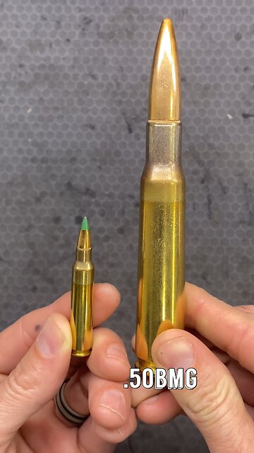 What’s the difference between the 5.56 and the 50BMG