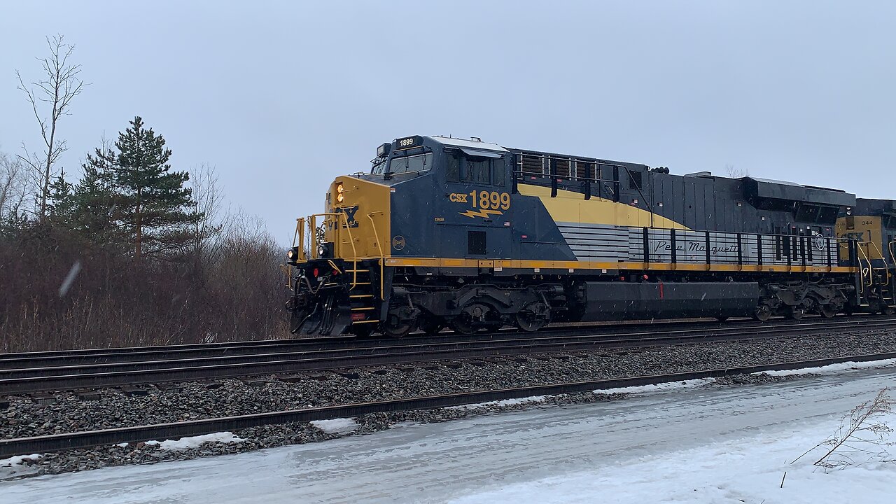 Small Csx CSX Train heritage unit 1899 makes an appearance