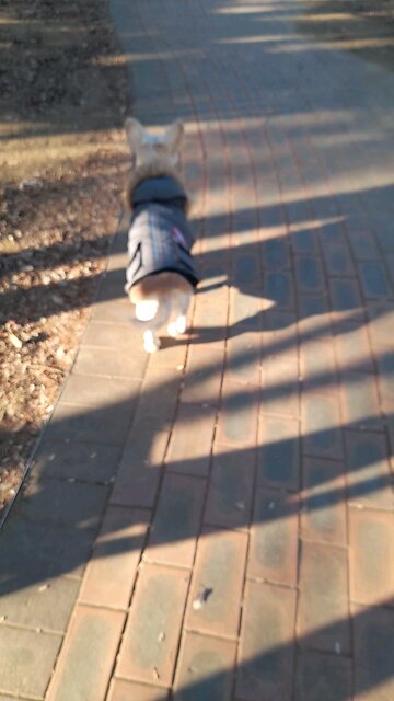 20251226. -8° South Korea. God with me.