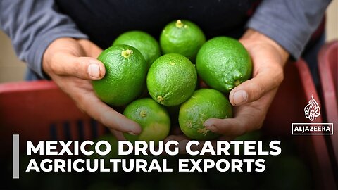 Mexican farmers face threats, extortion as cartels battle for control of agricultural exports