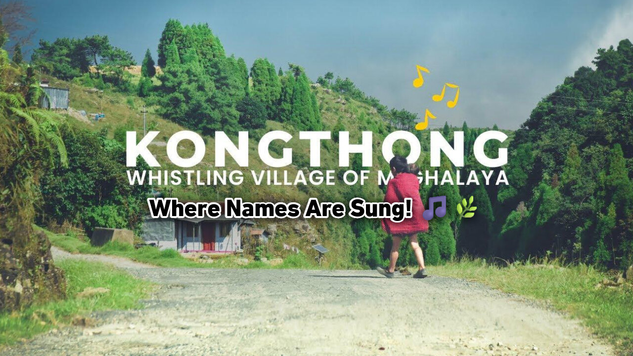 Kongthong: Where Names Are Sung! 🎵🌿