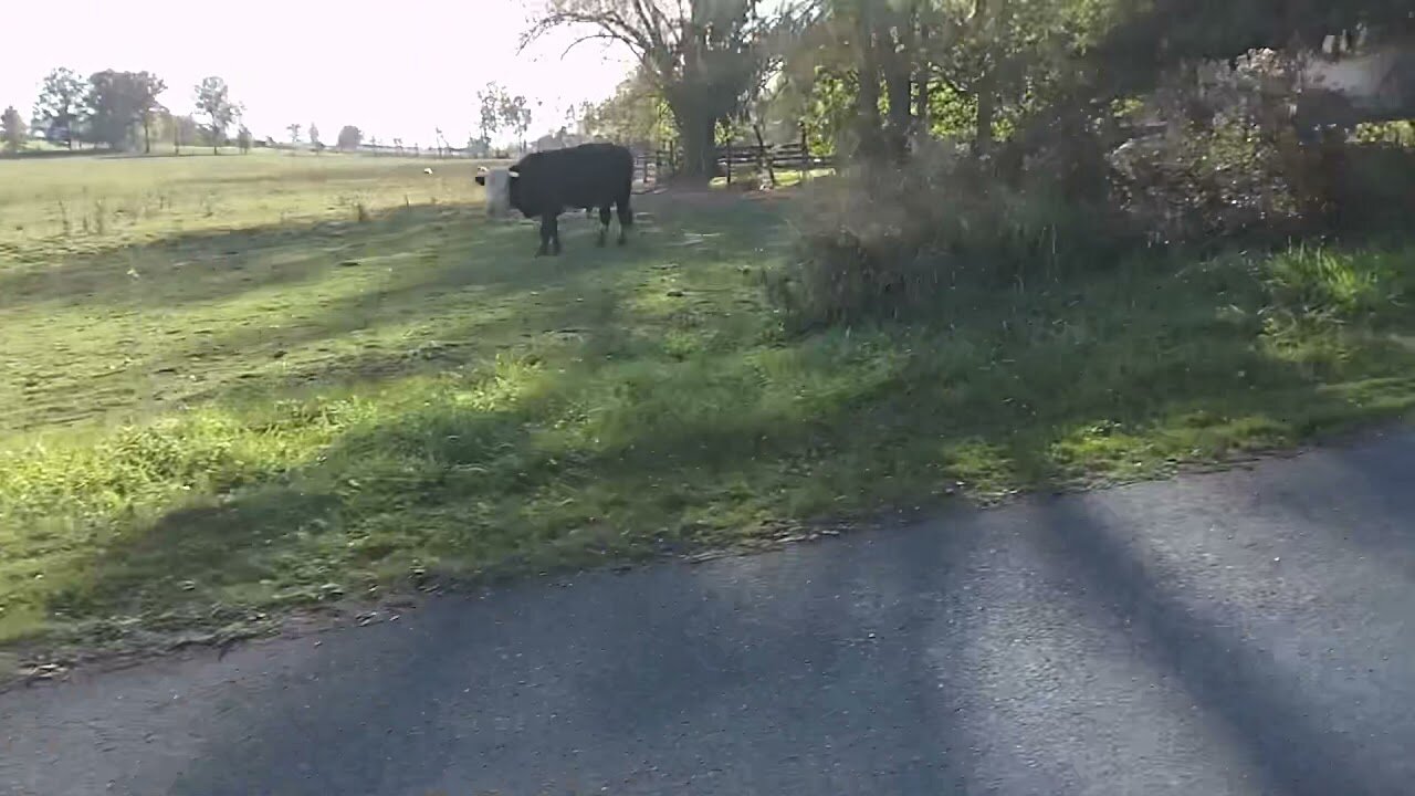 Uncovering Rails to Trails: Hidden Gems of Walkill, NY