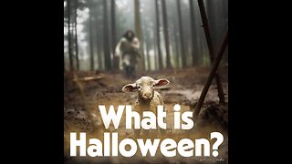 HALLOWEEN - What You're Actually Celebrating