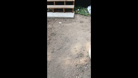 drywall cabin 2