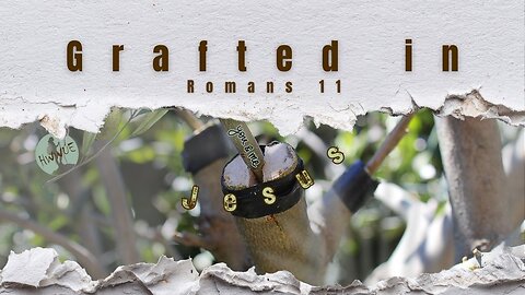 Grafted In - Romans 11